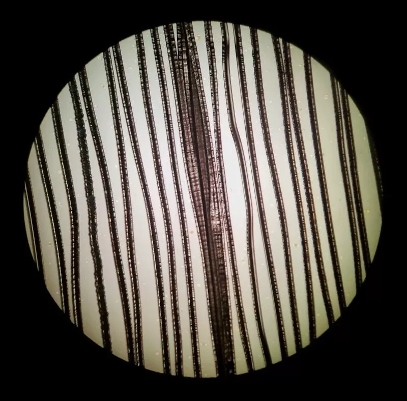 A close-up of a record's grooves